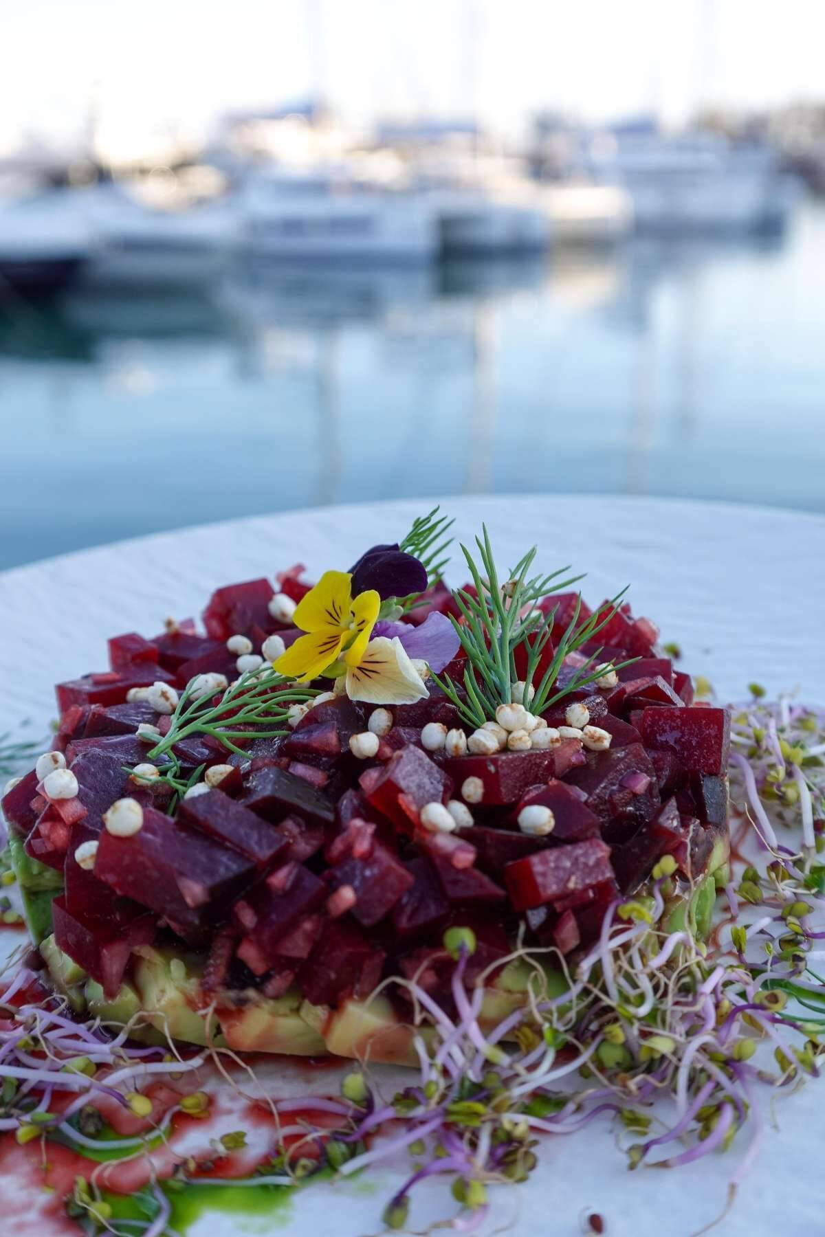 Lagoon Sixty 5 TriWing Endor