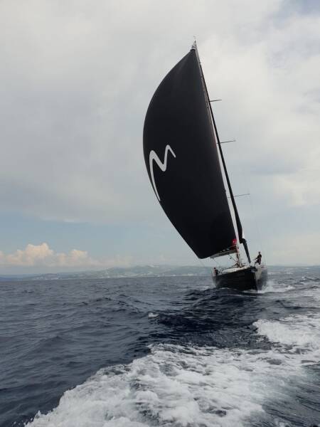 More 55 Manta Ray - Black Edition