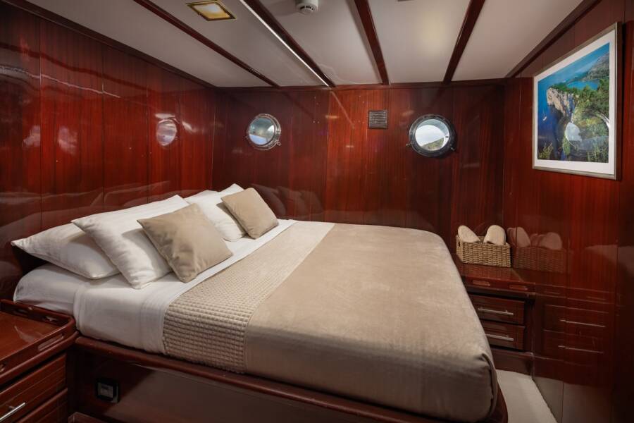 Phoenix Bronze Phoenix Bronze